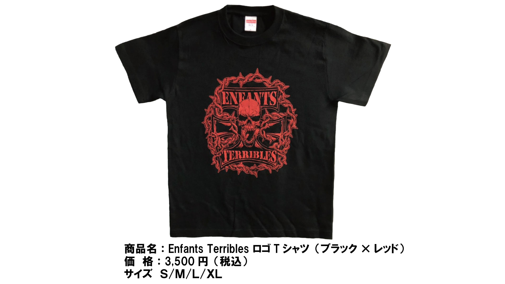 緊急決定！「WRESTLE-1 TOUR 2019 OUTBREAK」6.2東京・後楽園ホール大会より追加新商品登場のお知らせ